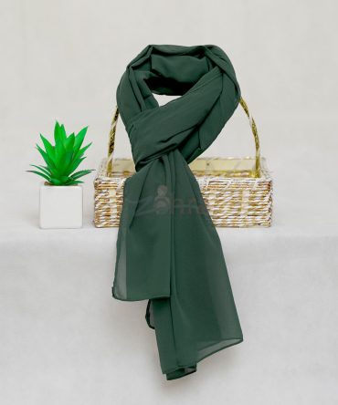 Georgette Chiffon - Lunar Green Chiffon Hijab